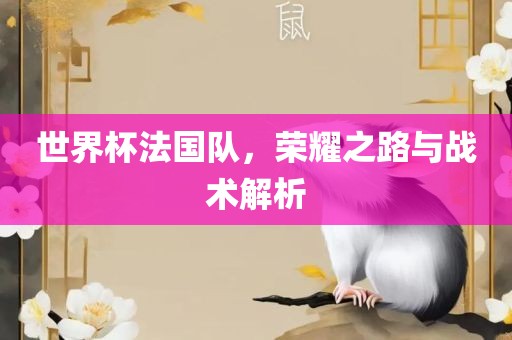 世界杯法国队，荣耀之路与战术解析