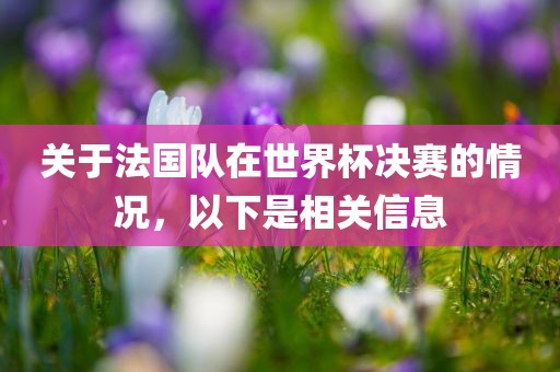 关于法国队在世界杯决赛的情况，以下是相关信息漯河市盈旭机械设备有限公司