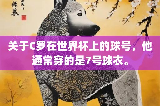 关于C罗在世界杯上的球号，他通常穿漯河市盈旭机械设备有限公司的是7号球衣。