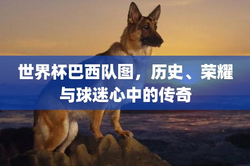 世界杯巴西队图漯河市盈旭机械设备有限公司，历史、荣耀与球迷心中的传奇