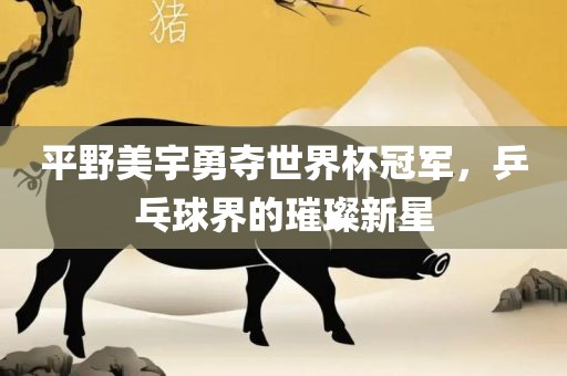 平野美宇勇夺世界杯冠军，乒乓球界的璀璨新星