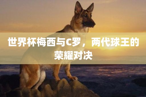 世界杯梅西与C罗，两代球王的荣耀对决漯河市盈旭机械设备有限公司