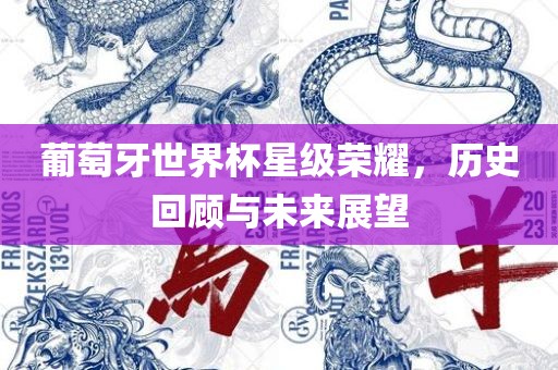 葡萄牙世界杯星级荣耀，历史回顾与未来展望漯河市盈旭机械设备有限公司
