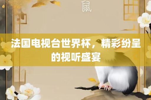 法国电视台世界杯，精彩纷呈的视听盛宴