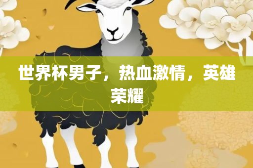 世界杯男子，热血激情，英雄荣耀