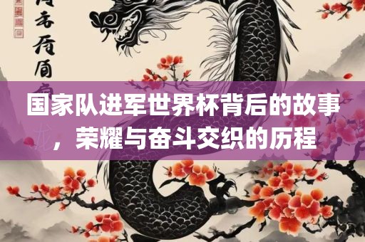 国家队进军世界杯背后的故事，荣耀与奋斗交织的历程漯河市盈旭机械设备有限公司
