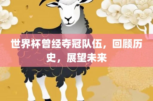 世界杯曾经夺冠队伍，回顾历史，展望未来漯河市盈旭机械设备有限公司