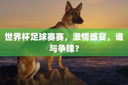 世界杯足球赛赛，激情盛宴，谁与争锋？漯河市盈旭机械设备有限公司