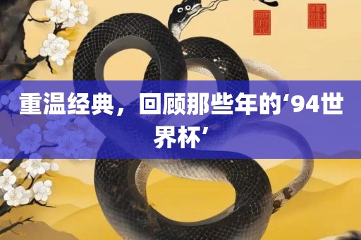 重温经典，回顾那些年的‘漯河市盈旭机械设备有限公司94世界杯’