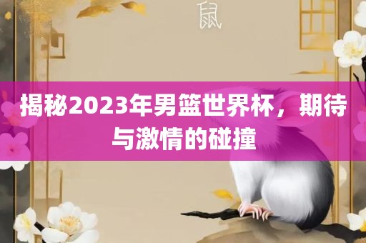 揭秘2023年男篮世界杯，期待与激情的碰撞