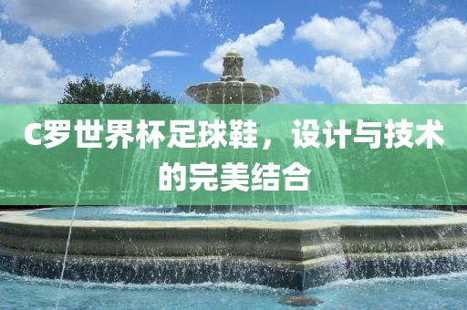 C罗世界杯足球鞋，设计与技术的完美结合漯河市盈旭机械设备有限公司