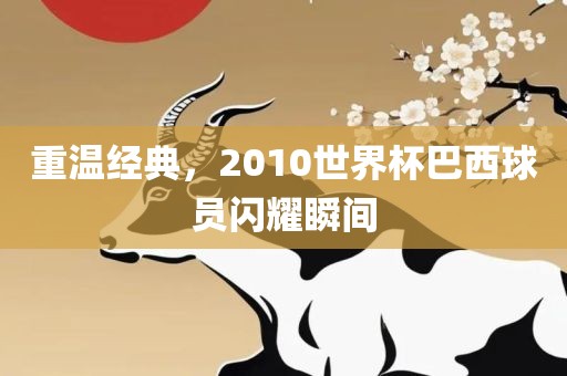 重温经典，2010世界杯巴西球员闪耀瞬间漯河市盈旭机械设备有限公司