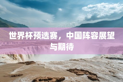 世界杯预选赛，中国阵容展望与期待