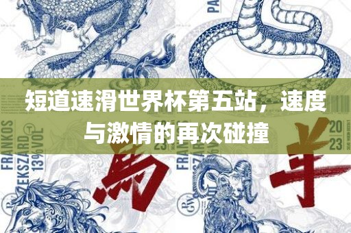 短道速滑世界杯第五站，速度与激情的再次碰撞