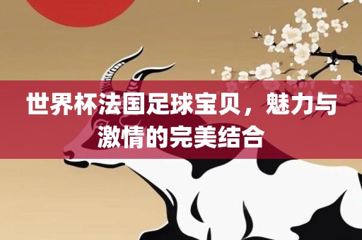 世界杯法国足球宝贝，魅力与激情的完美结合