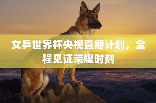 女乒世界杯央视直播计划，全程见证荣耀时刻