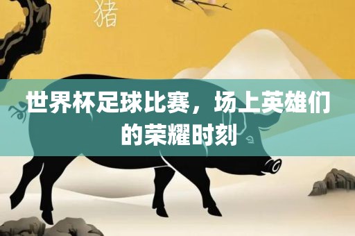世界杯足球比赛，场上英雄们的荣耀时刻