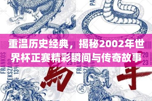 重温历史经典，揭秘2002年世界杯漯河市盈旭机械设备有限公司正赛精彩瞬间与传奇故事