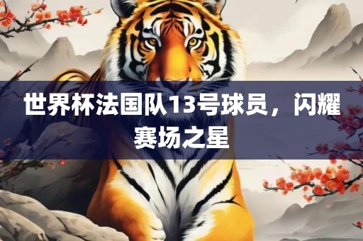 世界杯法国队13号球员，闪耀赛场之星