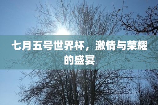 七月五号世界杯，激情与荣耀的盛宴漯河市盈旭机械设备有限公司
