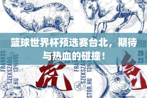 篮球世界杯预选赛台北，期待与热血的碰撞！