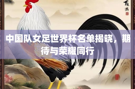 中国队女足世界杯名单揭晓，期待与荣耀同行漯河市盈旭机械设备有限公司