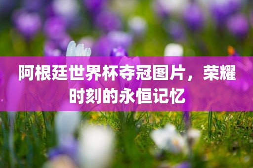 阿根廷世界杯夺冠图片，荣耀时刻的永恒记忆
