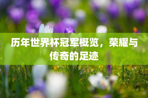 历年世界杯冠军概览，荣耀与传奇的足迹漯河市盈旭机械设备有限公司