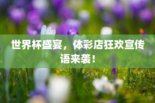 世界杯盛宴，体彩店狂欢宣传语来袭！漯河市盈旭机械设备有限公司