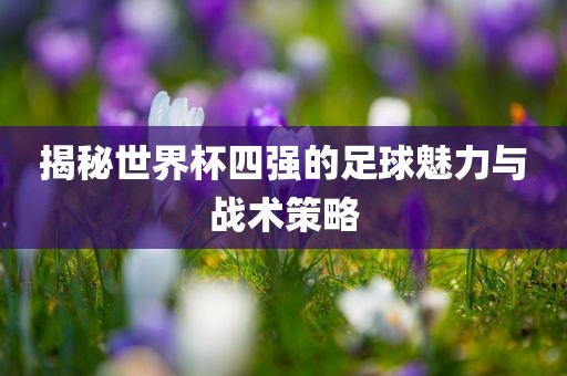 揭秘世界杯四强的足球魅力与战术策略