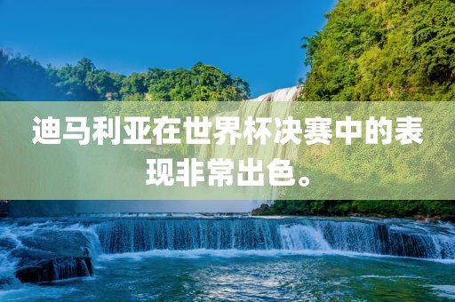 迪马利亚在世界杯决赛中的表现非常出色。