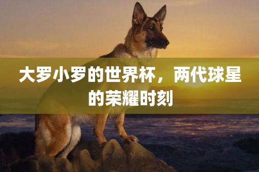 大罗小罗的世界杯，两代球星的荣耀时刻