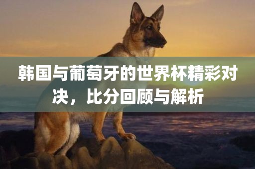 韩国与葡萄牙的世界杯精彩对决，比分回顾与解析