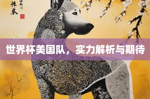 世界杯美国队，实力解析与期待