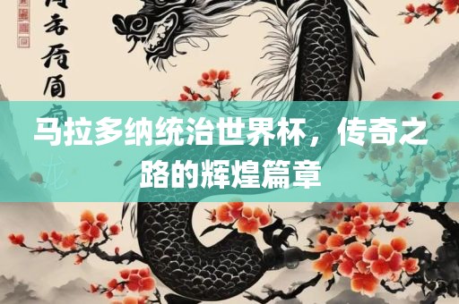马拉多纳统治世界杯，传奇之路的辉煌篇章