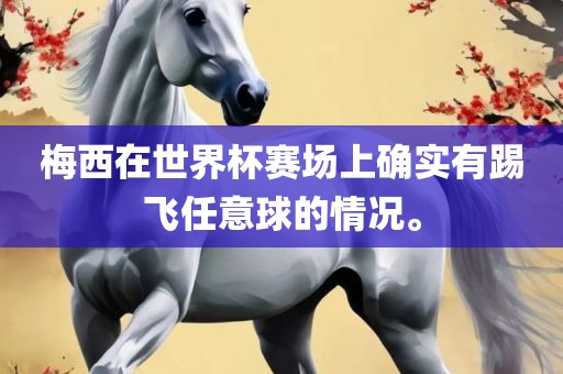 梅西在世界杯赛场上确实有踢飞任意球的情况。