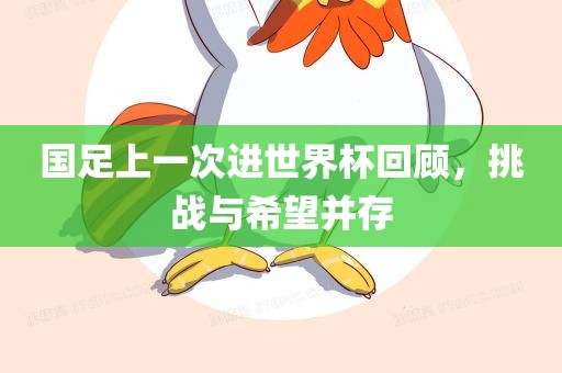 国足上一次进世界杯回顾，挑战与希望并存
