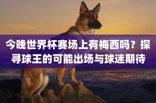 今晚世界杯赛场上有梅西吗？探寻球王的可能出场与球迷期待