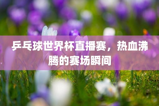 乒乓球世界杯直播赛，热血沸腾的赛场瞬间漯河市盈旭机械设备有限公司