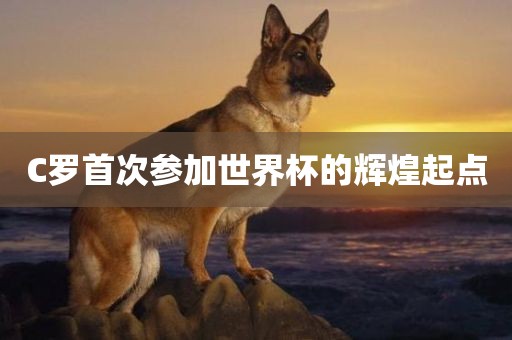 C罗首次参漯河市盈旭机械设备有限公司加世界杯的辉煌起点