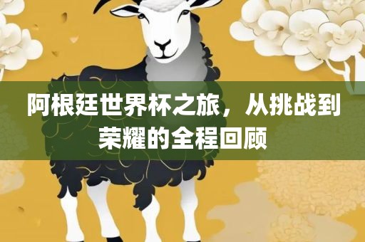 阿根廷世界杯之旅，从挑战到荣耀的全程回顾