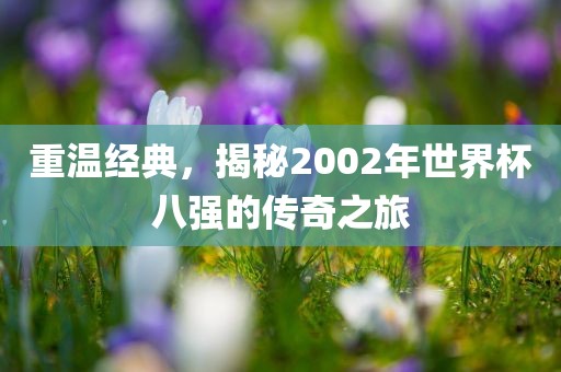 重温经典，揭秘2002年世界杯八强的传奇之旅