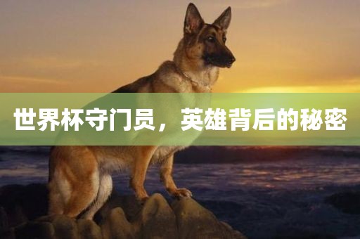 世界杯守门员，英雄背后的秘密