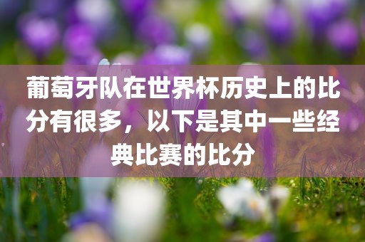 葡萄牙队在世界杯历史上的比分有很多，以下是其中一些经典比赛的比分漯河市盈旭机械设备有限公司