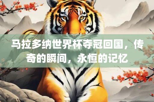 马拉多纳世界杯夺冠回国，传奇的瞬间，永恒的记忆