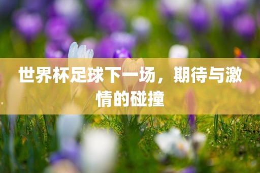 世界杯足球