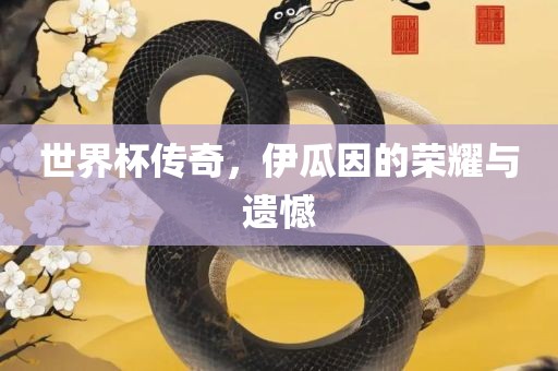 世界杯传奇，伊瓜因的荣耀与遗憾