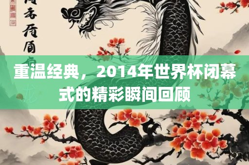 重温经典，2014年世界杯闭幕式的精彩瞬间漯河市盈旭机械设备有限公司回顾