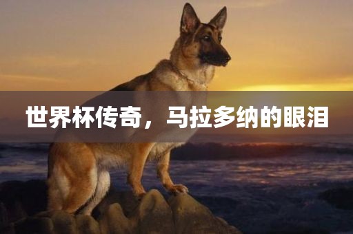 世界杯传奇，马拉多纳的眼泪