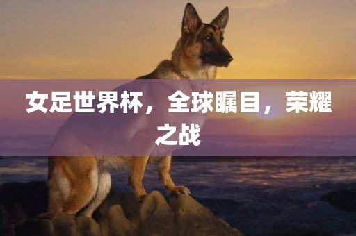 女足世界杯，全球瞩目，荣耀之战